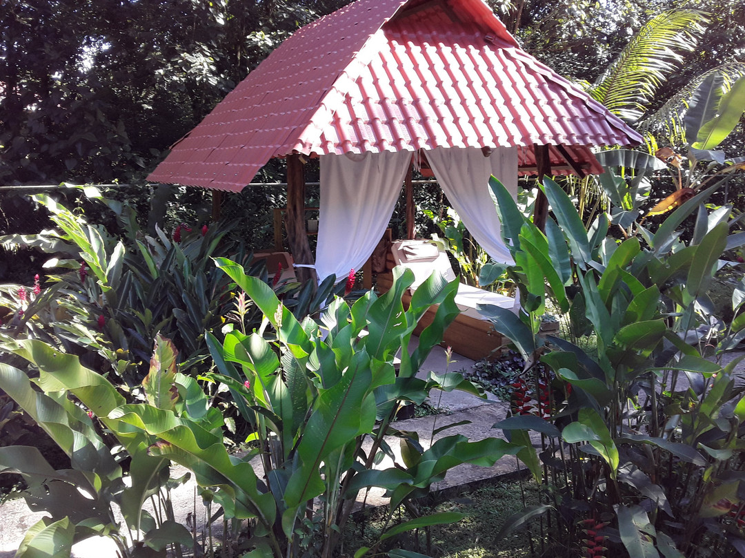 The Monkey Bowl主图