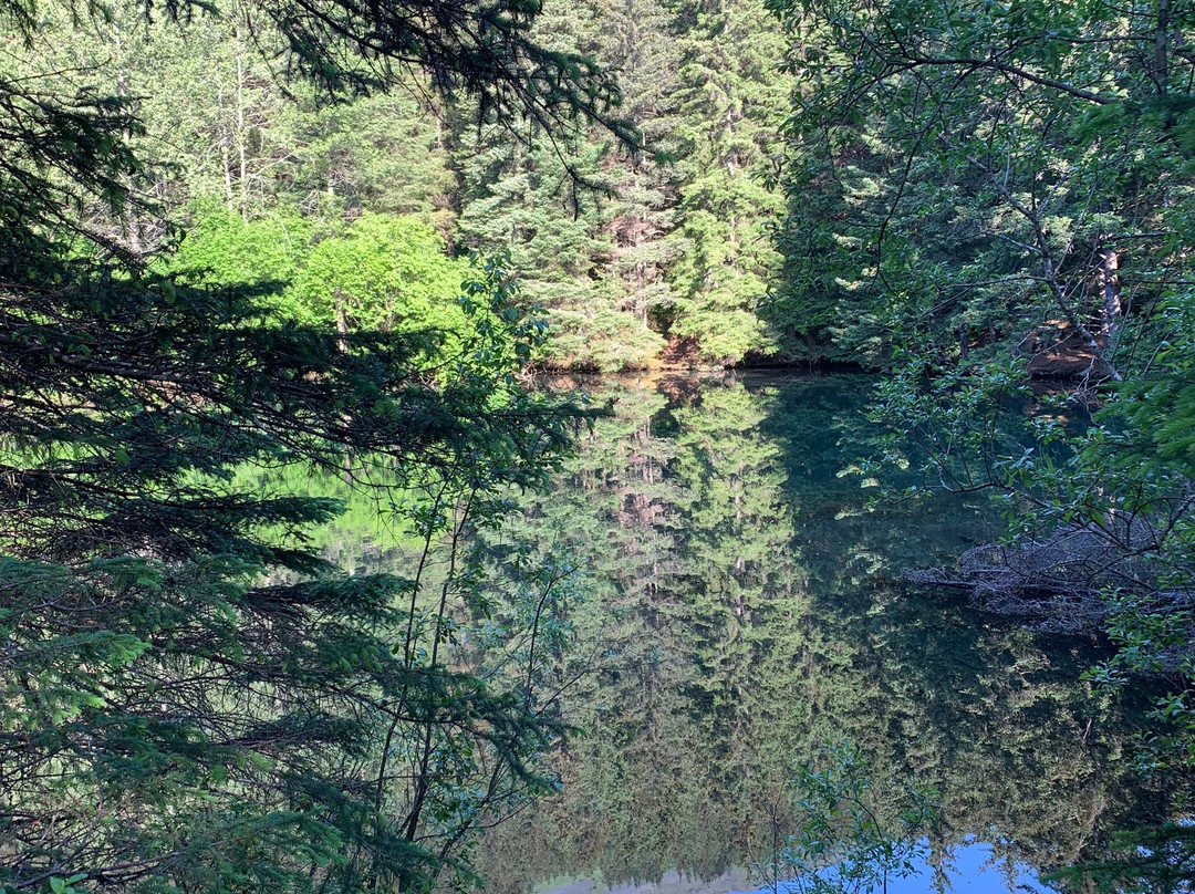 Two Lakes Park-苏厄德必去景点