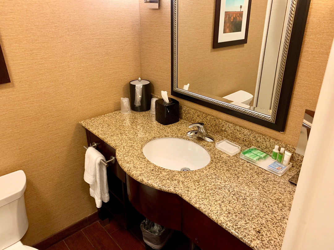 Ardmore酒店住宿-Holiday Inn Ardmore I-35 By IHG