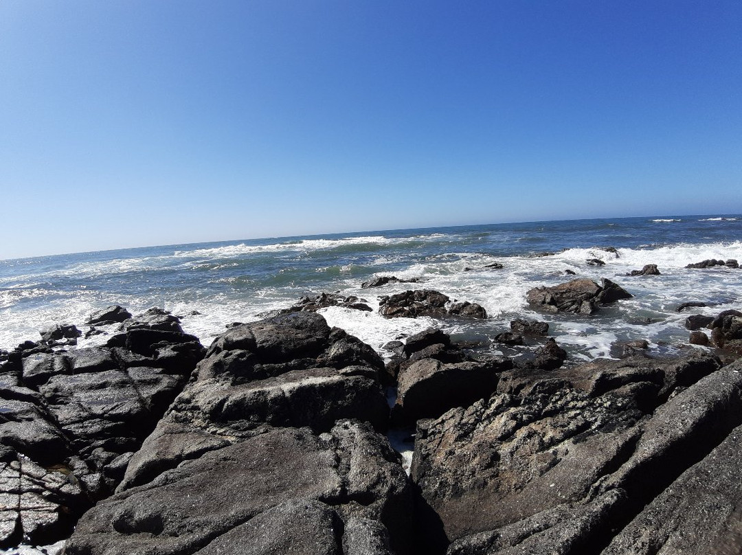 Praia Forte de Paçô景点图片