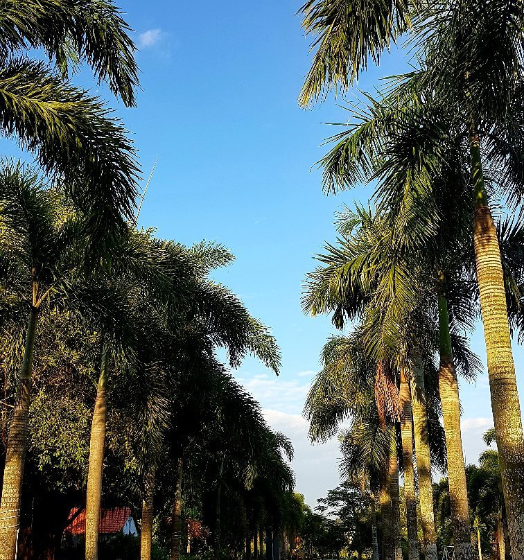 莱斯阿莫德伊东方酒店主图