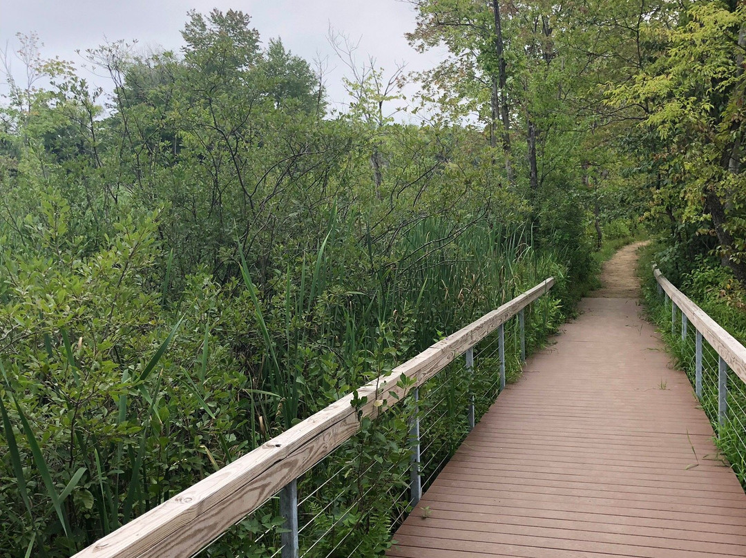 Cowles Bog景点图片