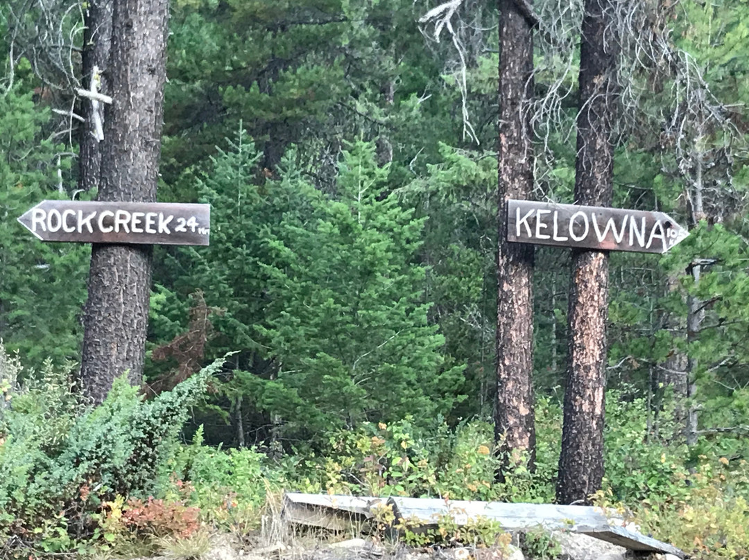 Little Dipper Hideaway Campground主图