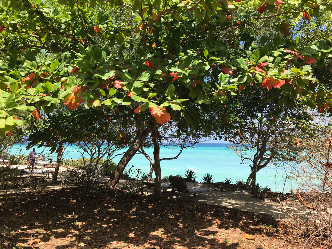 Karamba Eco Boutique Hotel主图