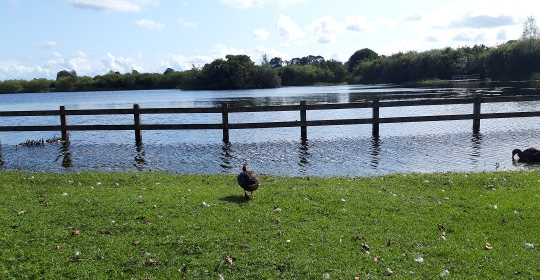 McMahon/Clare Lake Park景点图片