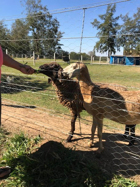 Hotel Fazenda Vida Bela主图