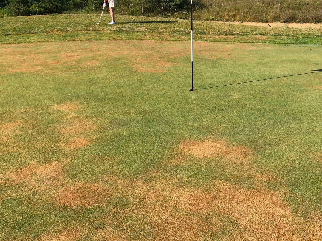 Northern Dunes Golf Club景点图片
