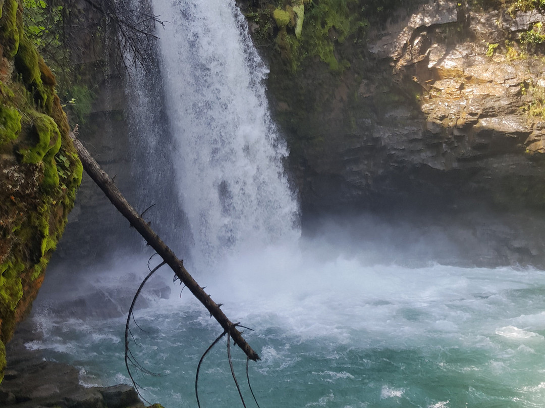 2023年11月Blanket Creek Provincial Park景点攻略Blanket Creek Provincial Park