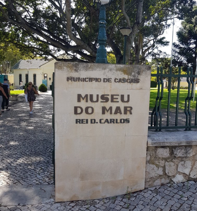 Museo do Mar (Museum of the Sea)景点图片