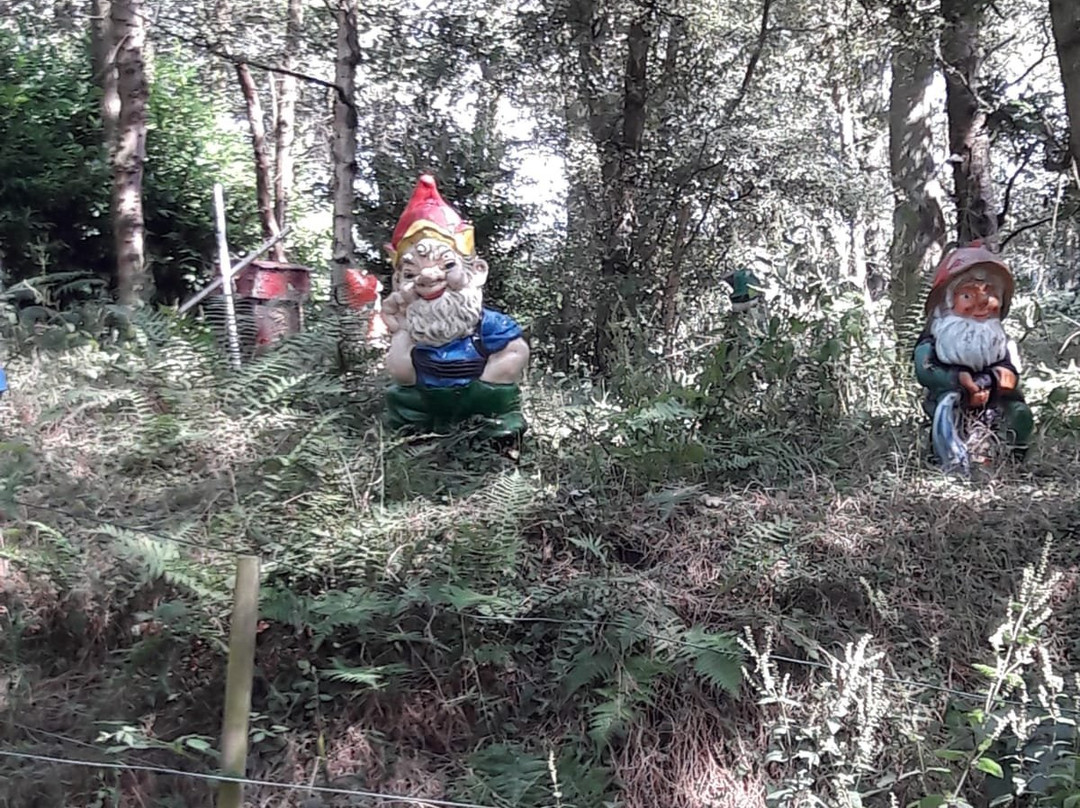 Gnome Magic Garden景点图片