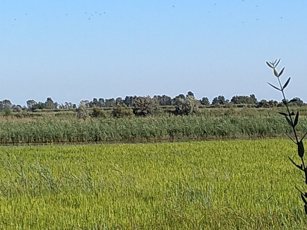Domaine de Sylvereal-Vauvert必去景点