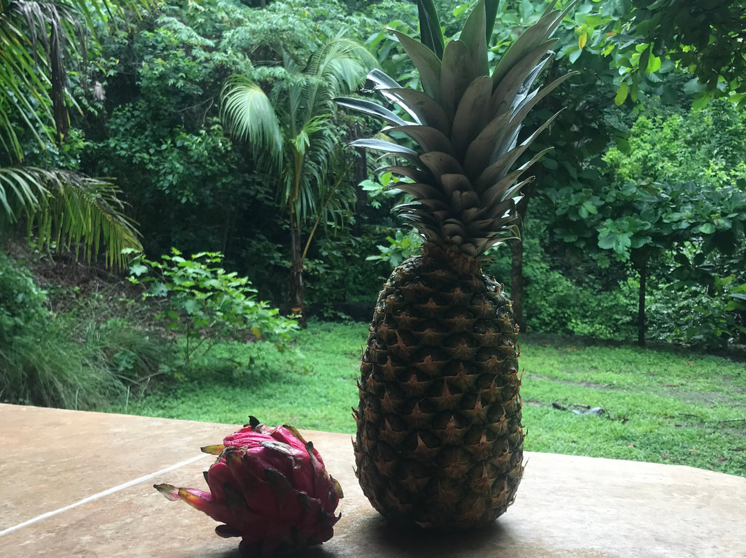 玛尔帕伊斯冲浪营地酒店