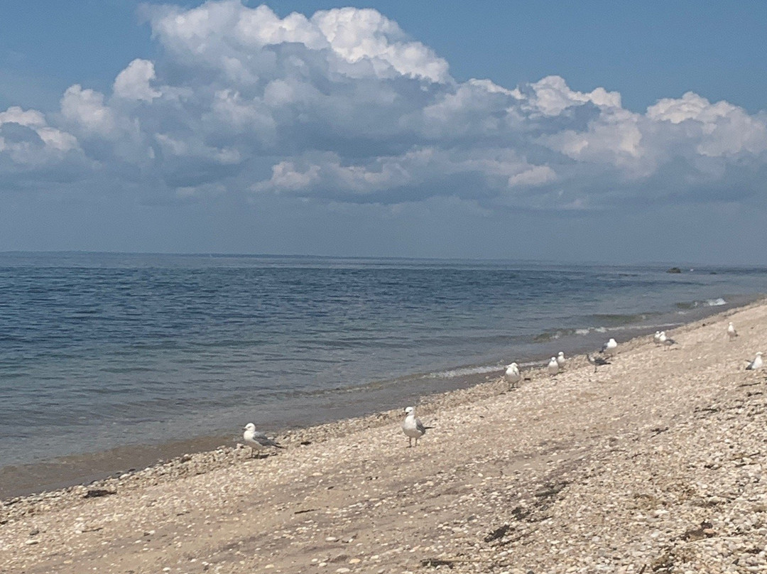 Mansion Beach-新肖勒姆必去景点