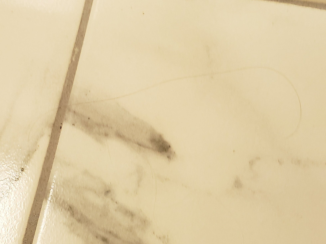 华美达巴尔的摩华盛顿国际机场/阿伦德尔米尔斯酒店主图