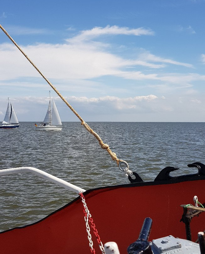 De Zee Leeft-Den Oever必去景点