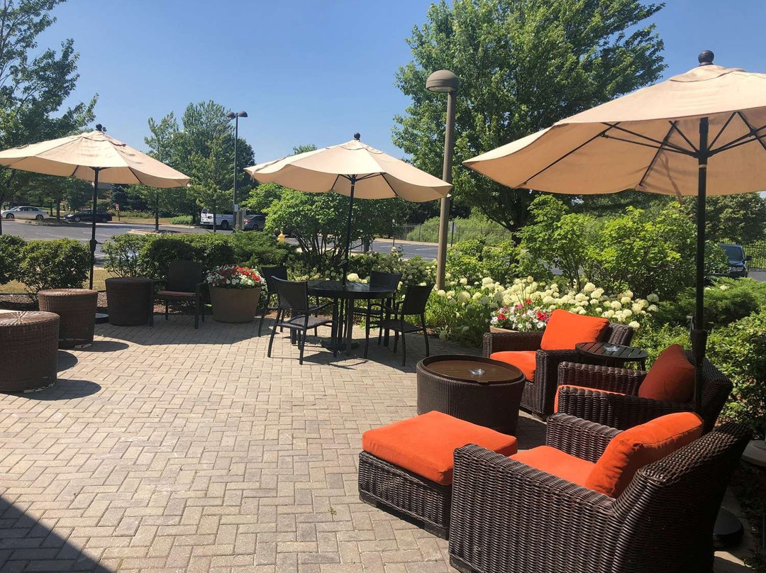 艾迪生希尔顿花园酒店主图