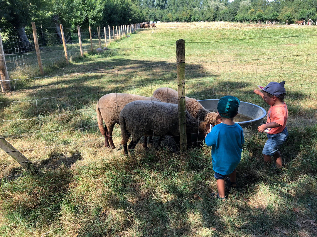 Ferme Pedagogique du Marais景点图片