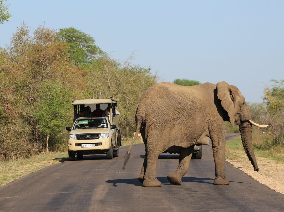 Vomba Tours & Safaris景点图片