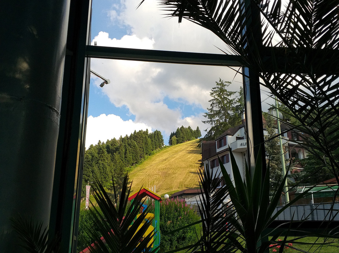 里拉博罗韦茨酒店主图