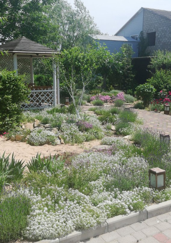 Flamingo Guesthouse主图