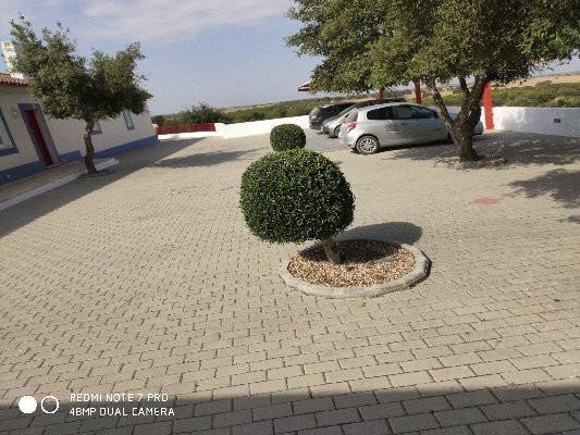 Monte da Ameixa Country House主图