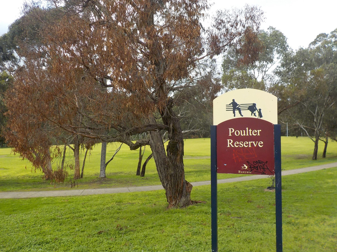 Poulter Avenue Reserve景点图片