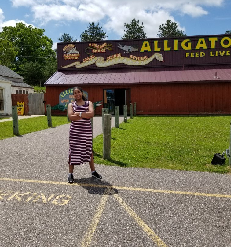 Alligator Alley Adventures景点图片