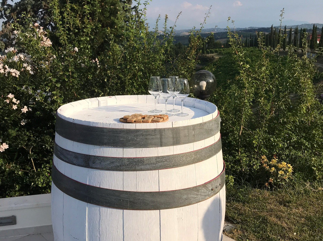 Contado San Lorenzo B&B and Wine主图