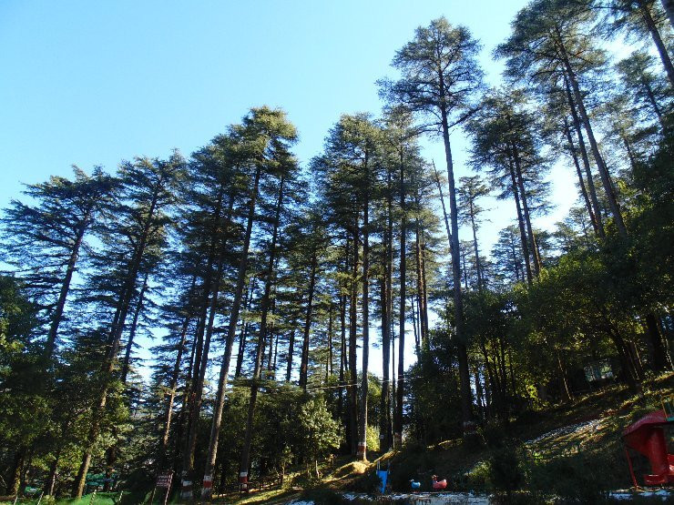 Dhanaulti Adventure Park景点图片