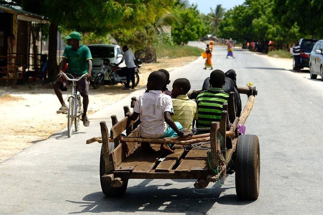 Zanzibar Tours and Transfers景点图片