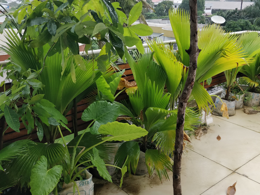 Résidence ECOLOGE主图