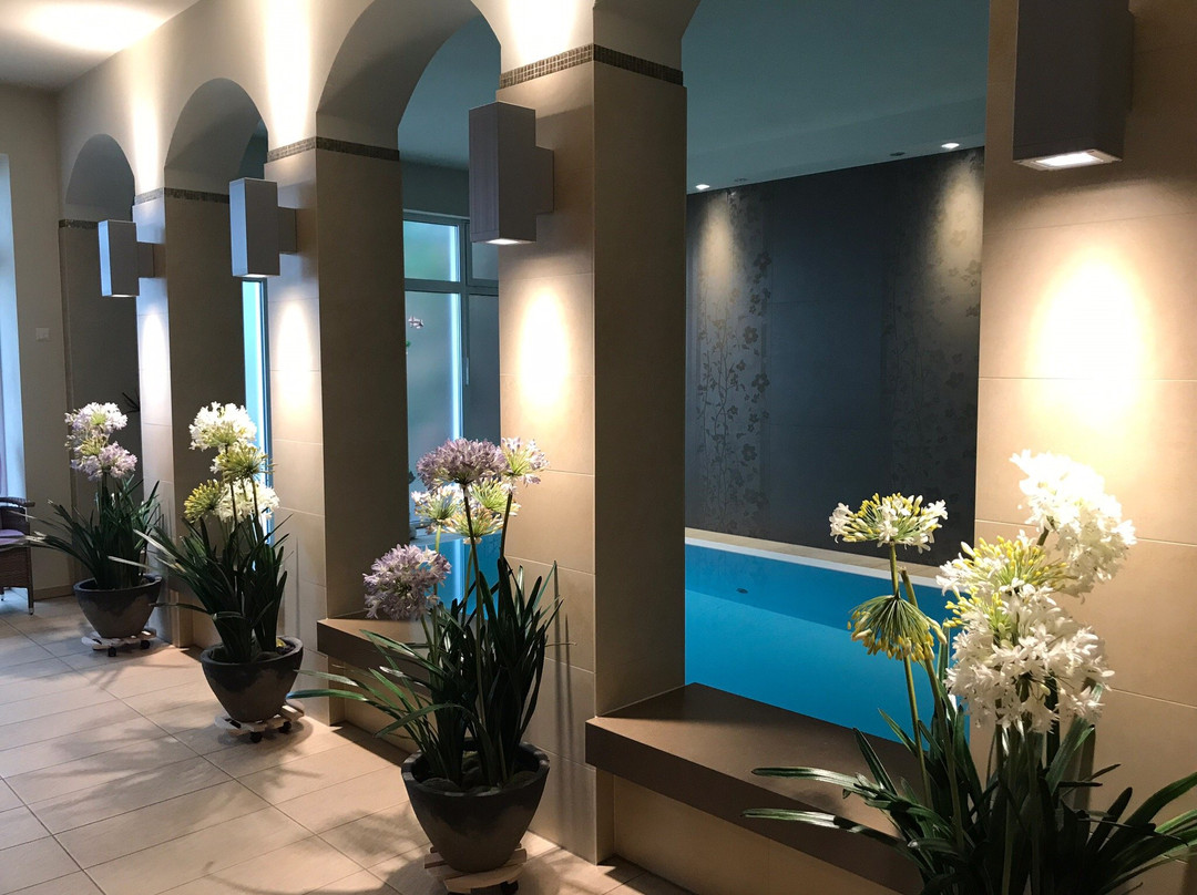 Hotel Steiger Sebnitzer Hof - Adults only主图