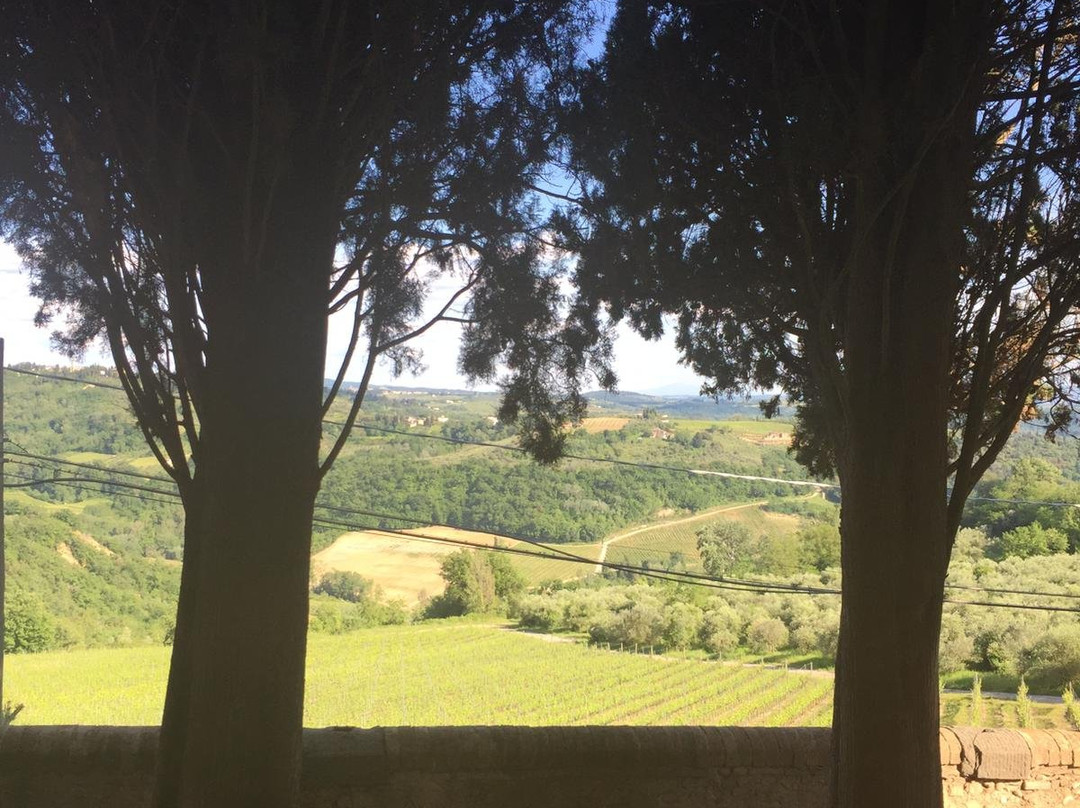 Fattoria di Fiano, Ugo Bing-Marcialla必去景点