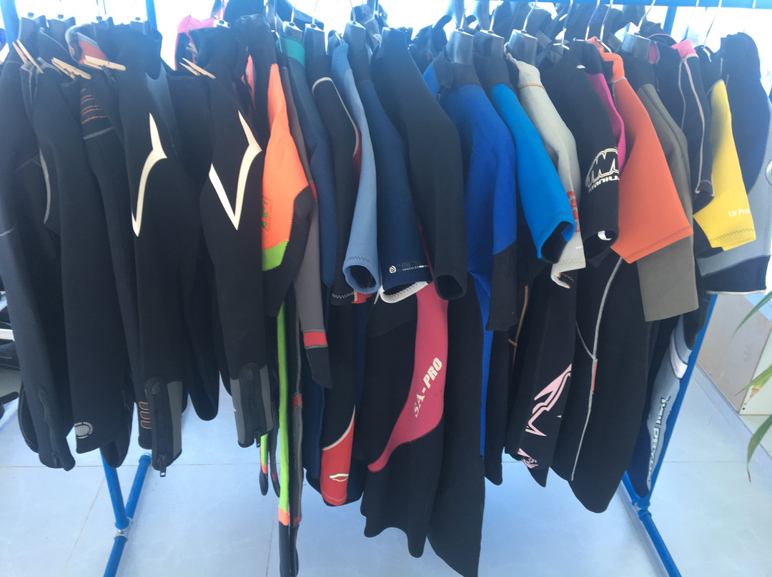 مدرسه غواصی مرکزی-Bushehr必去景点