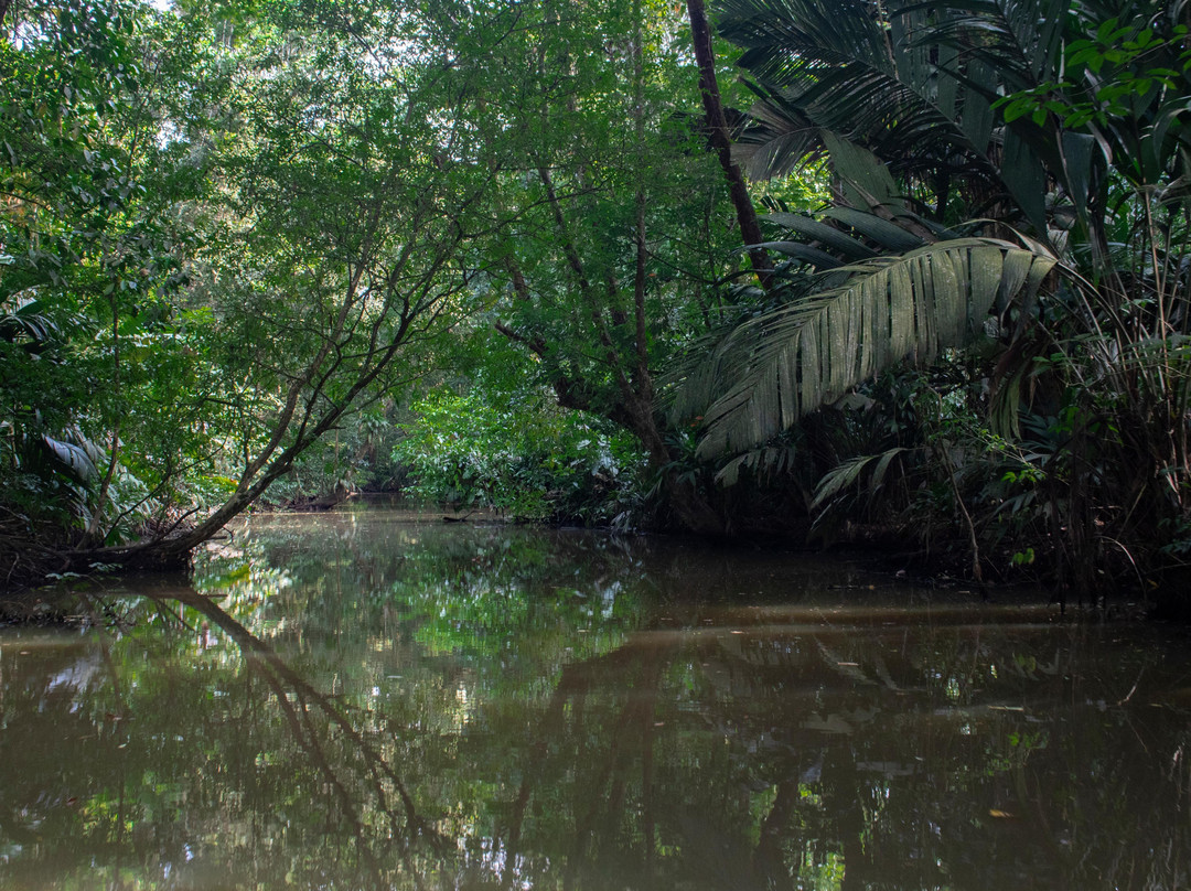 trips nativos tortuguero-托图杰多必去景点