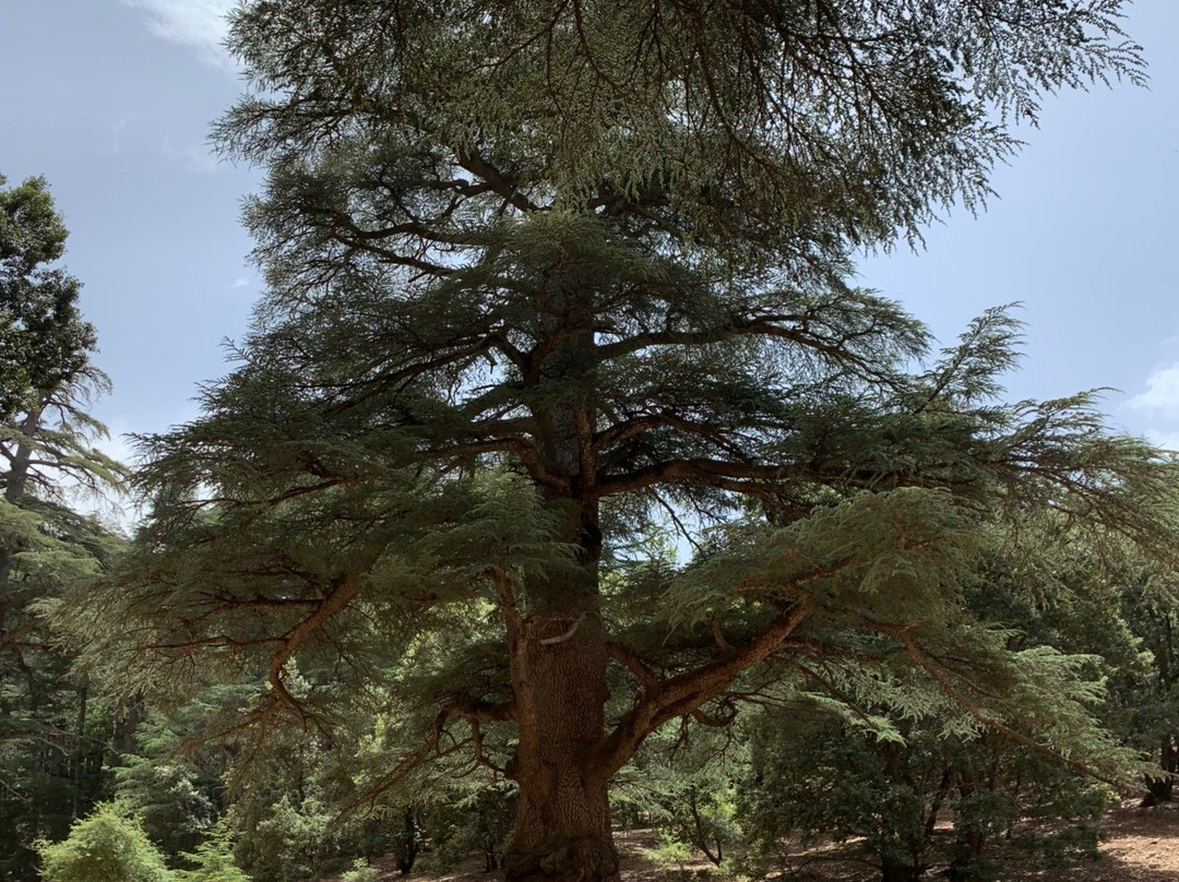 Viajes Baratos Marruecos-非斯必去景点