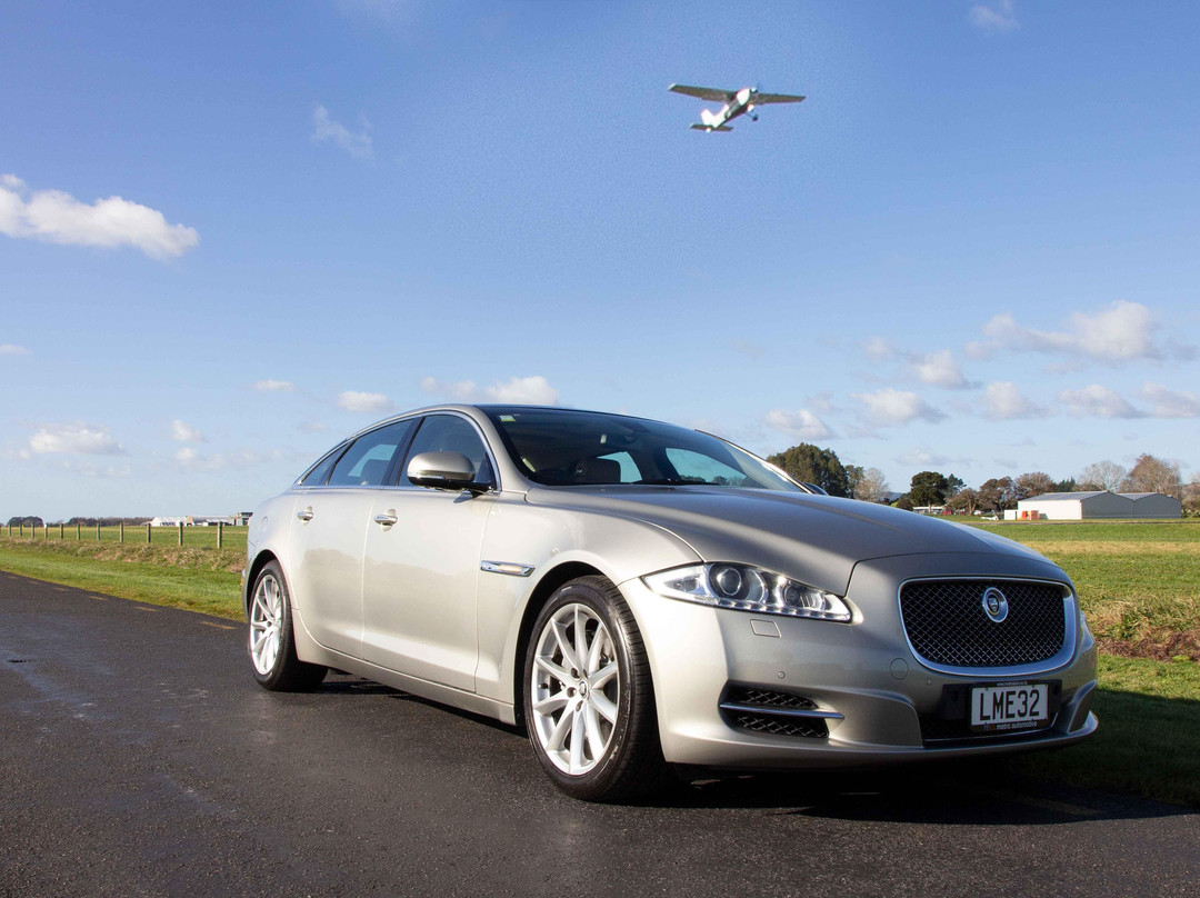 Zest Tours-奥克兰中心地区必去景点