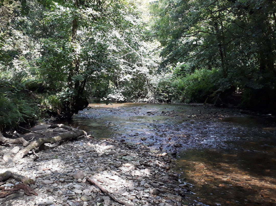 Loddiswell Walk & the Middle Avon Valley-Loddiswell必去景点
