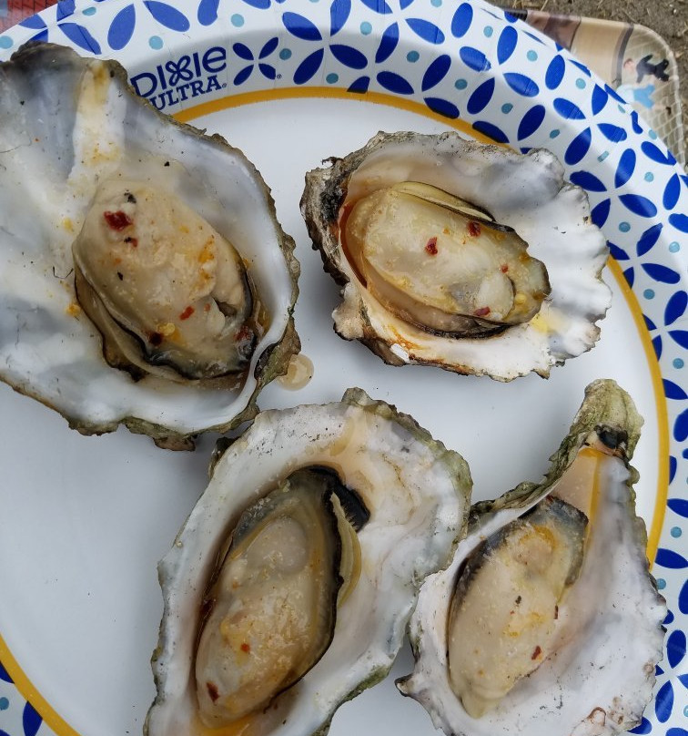 Brady's Oysters景点图片