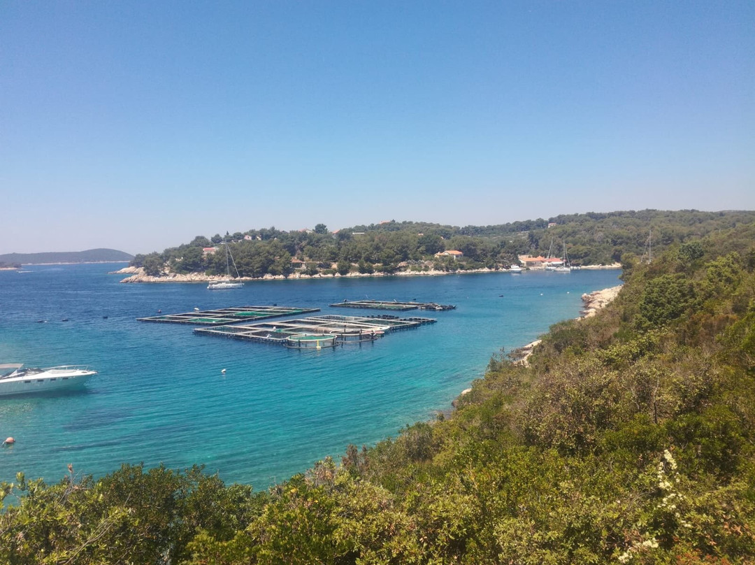 Hvar Boating-赫瓦尔必去景点