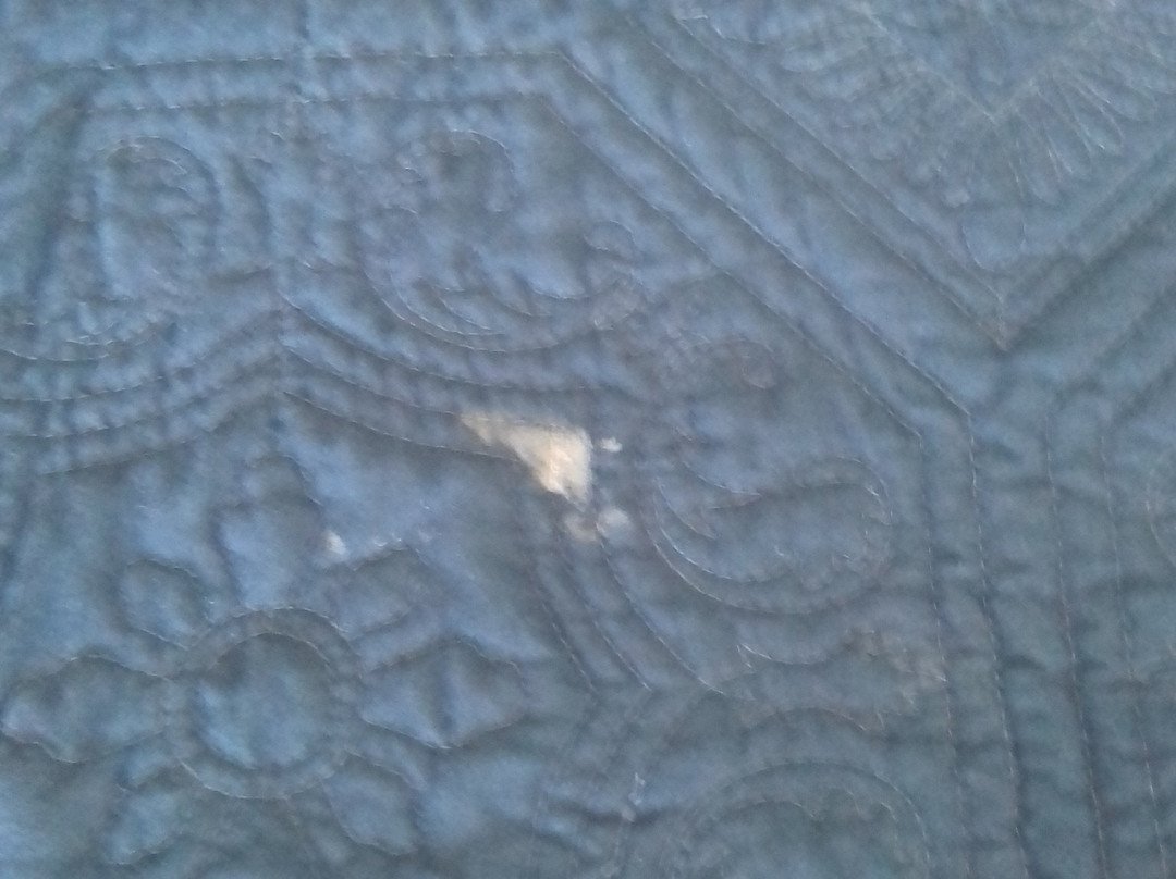 Las Brisas Condominiums主图