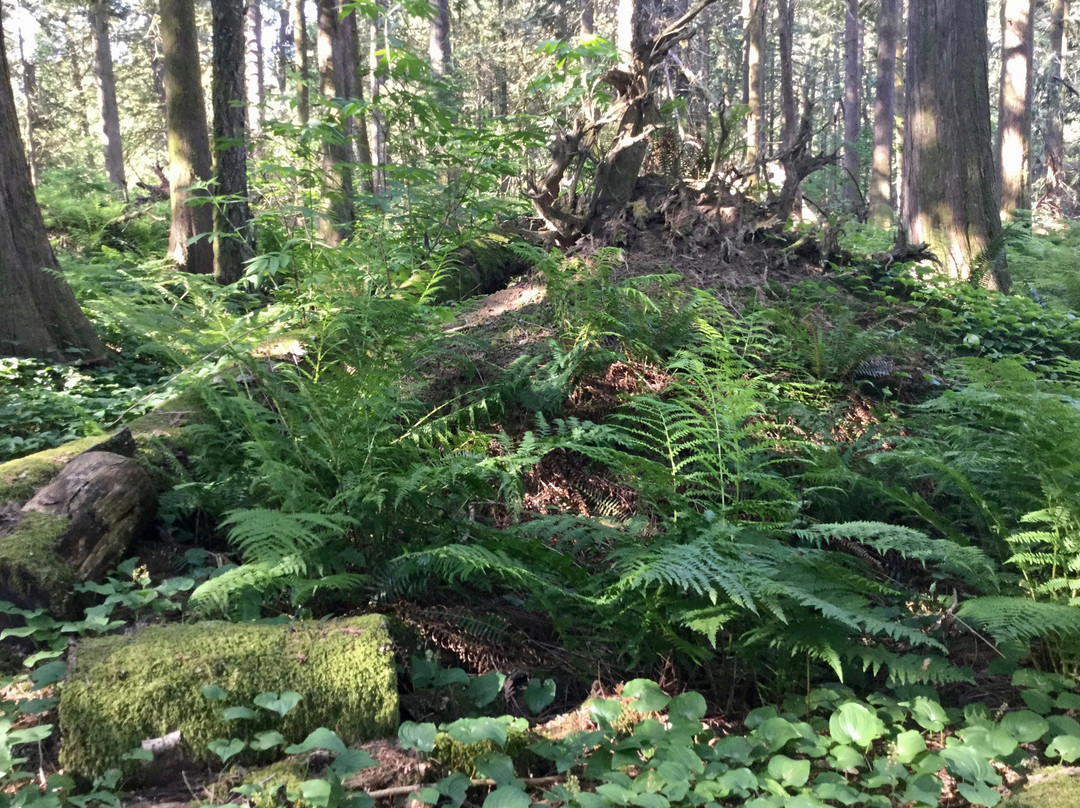 Spirit Trail Walk-哈里逊温泉必去景点
