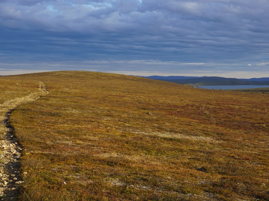 Kevo Strict Nature Reserve-Utsjoki必去景点