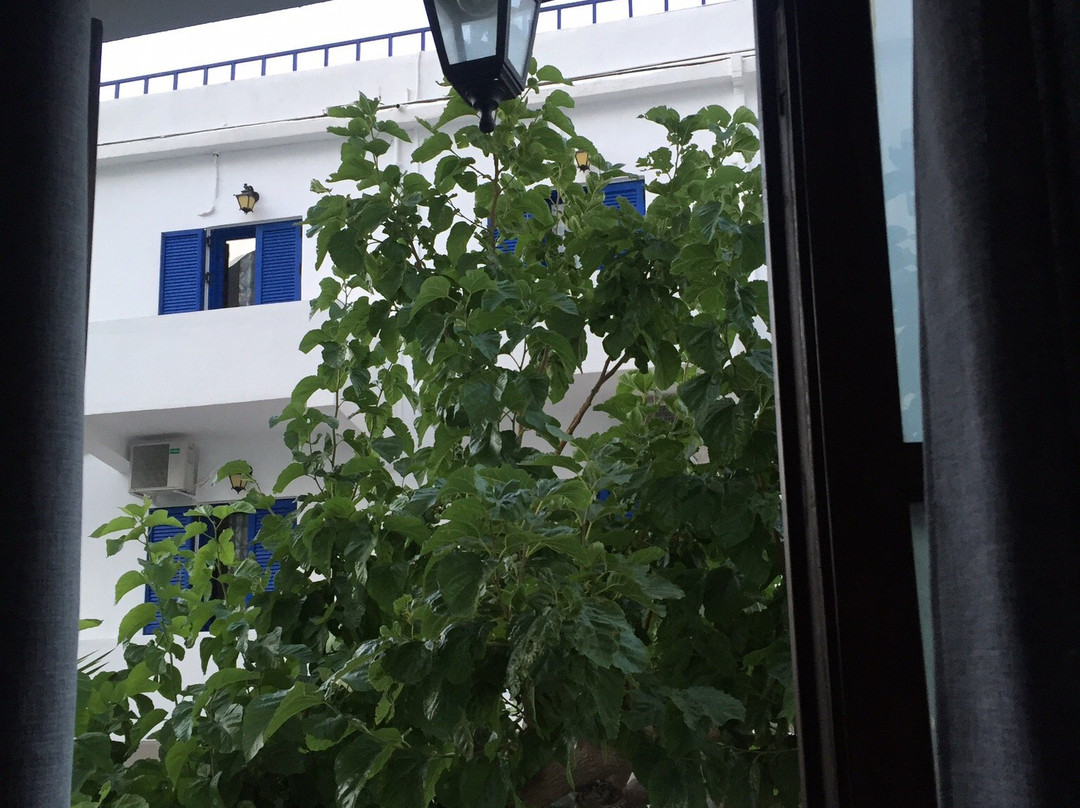 Artemis Studios主图