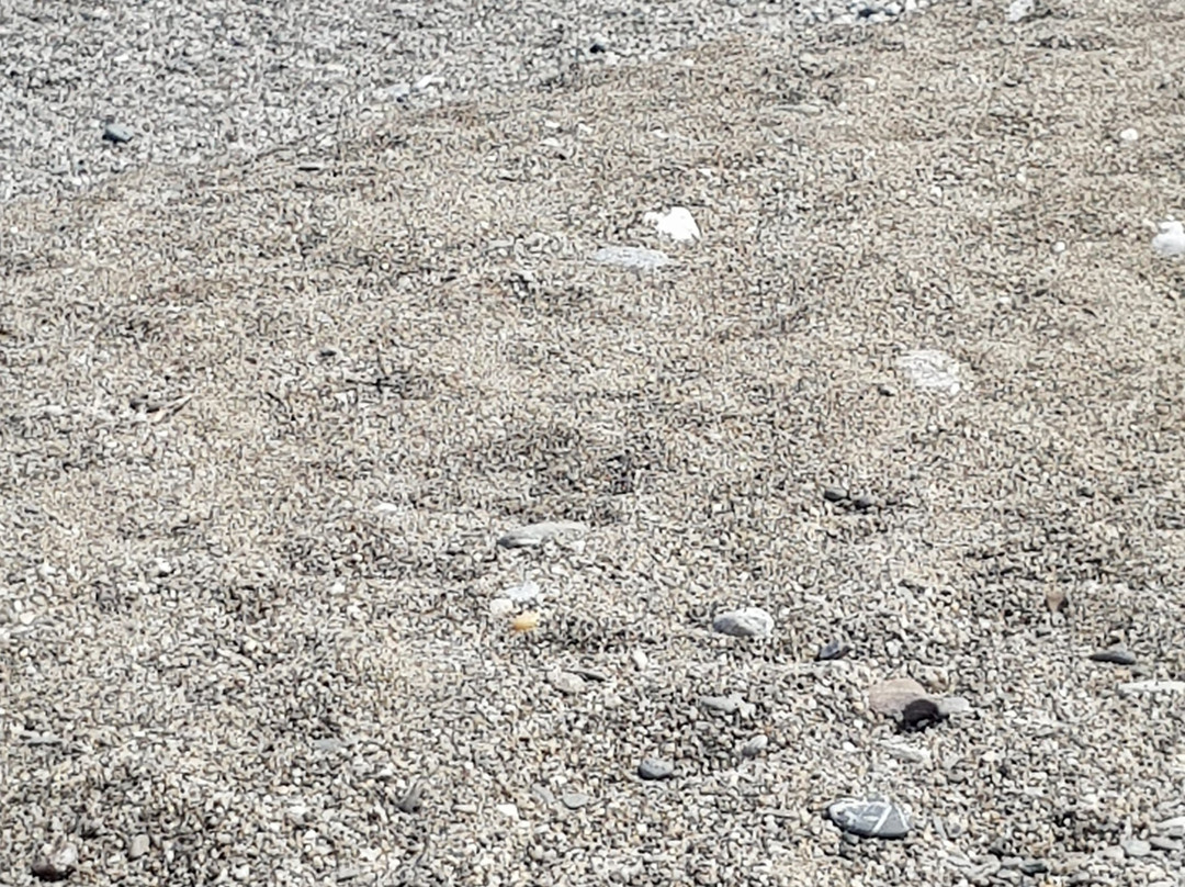 Baia Calava Hotel e Residence主图