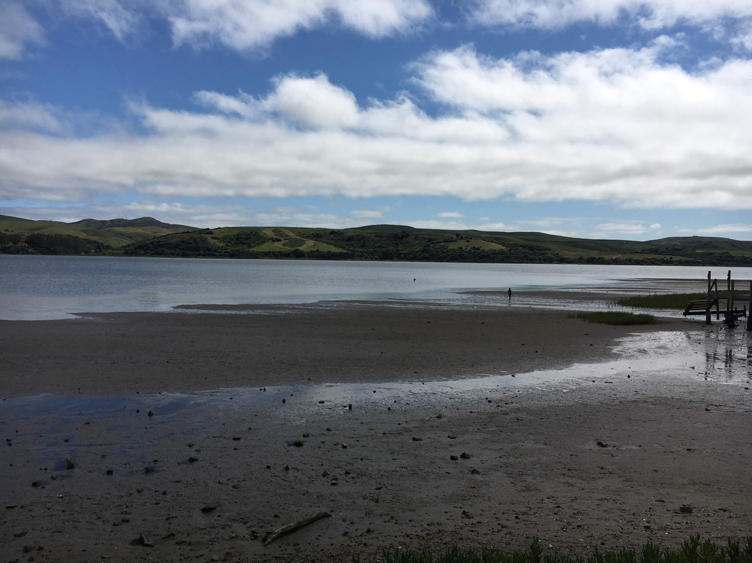 Dancing Coyote Beach主图