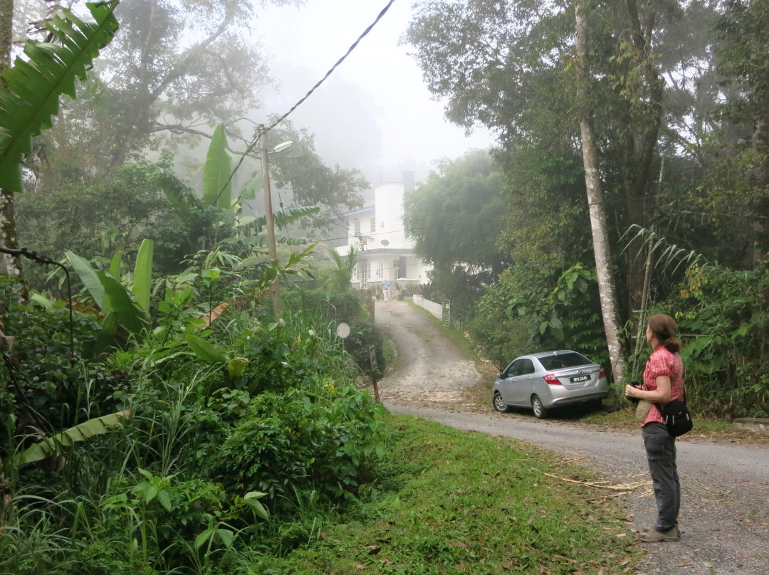 Stephen's Place B&B主图