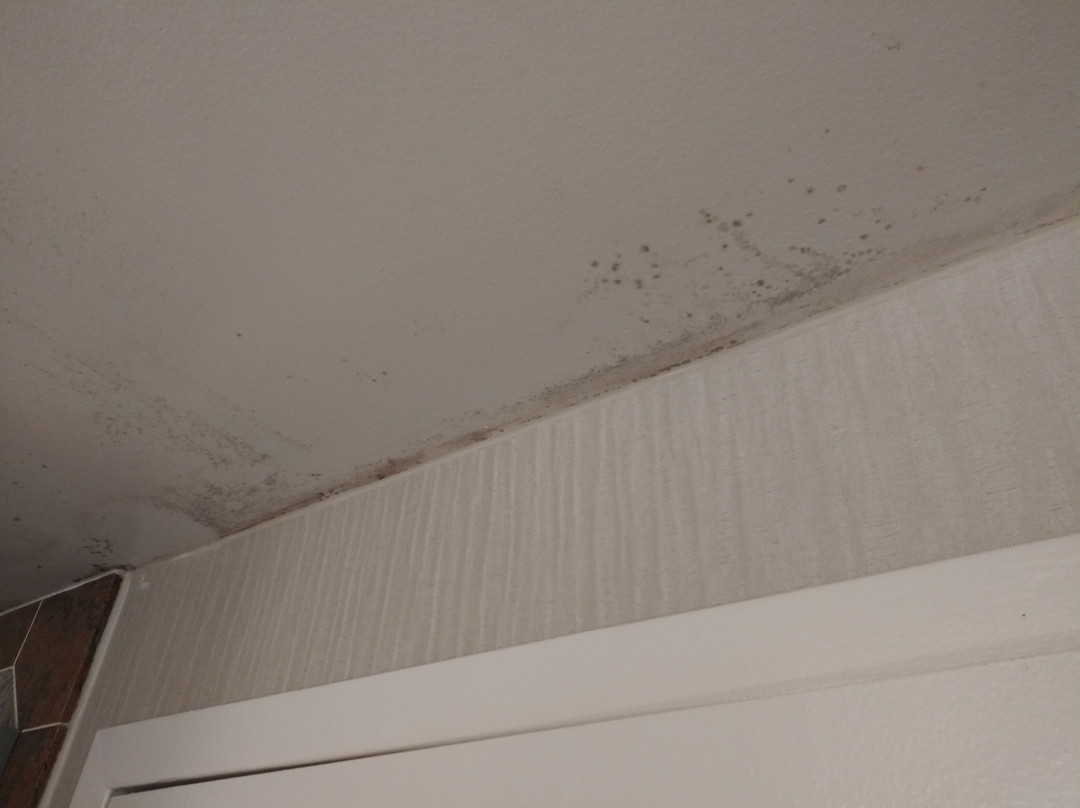 Days Inn by Wyndham Lanham Washington D.C主图