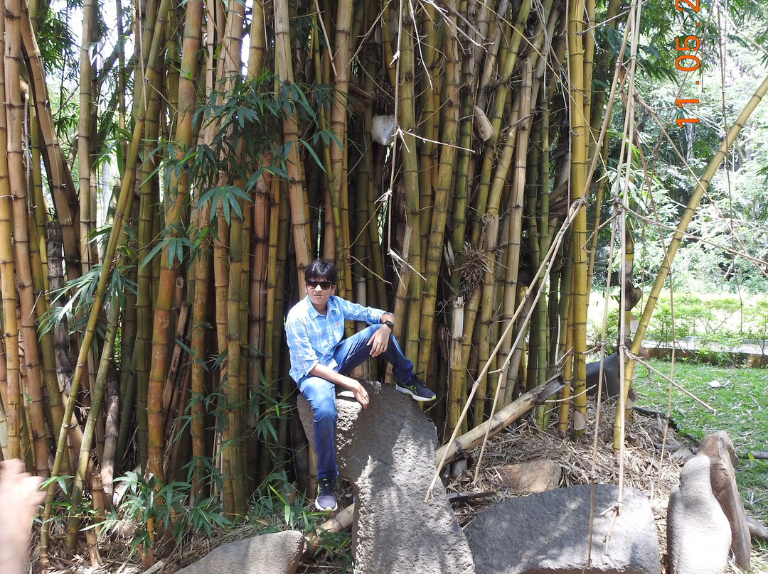 Ranganathittu Bird Sanctuary景点图片