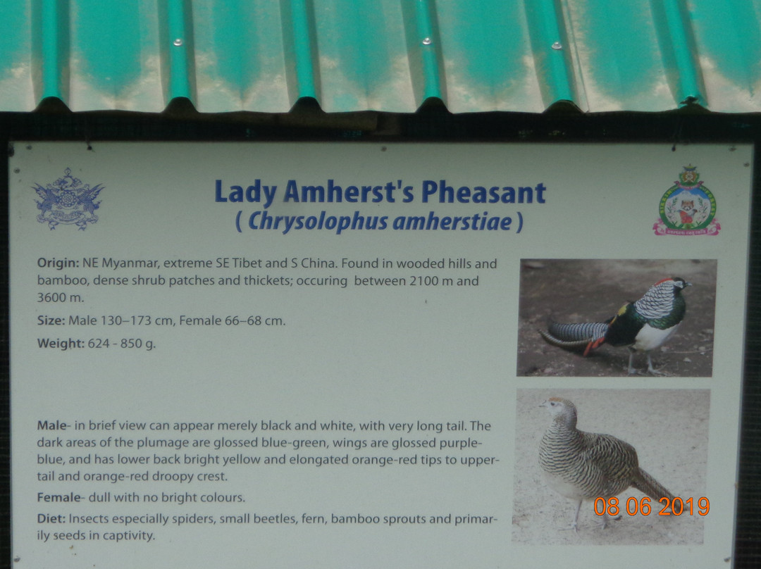 Maenam Wildlife Sanctuary-Namchi必去景点